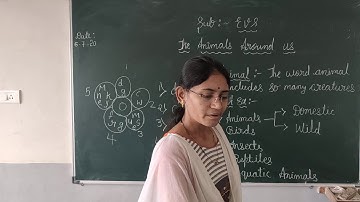 Class 1st sub EVS Topic The Animal around us