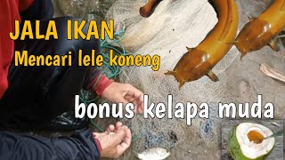 JALA IKAN HASIL HERAN Mencari lele koneng#jalaikan#lele#sungai