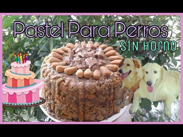 El Pastel De Navidad Es Venenoso Para Los Perros
