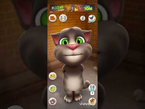 معنیشو خواستی بدونی برو تو کپشن گربه خنده شمال مازندران شعر مثل نوستالژی قدیمی بچه