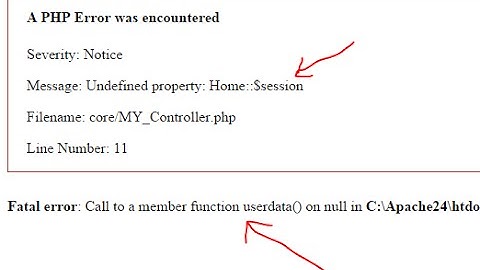 CI problem : Fatal error Call to a member function userdata()