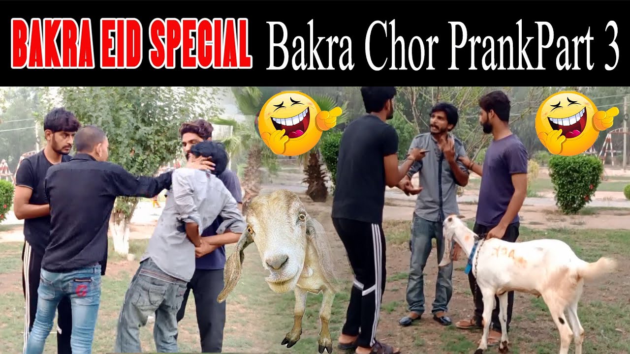 Bakra Chor Saqlain Shah New Prank Bakra Chor 2021 khan ali New Prank 2021 Bakra Chor Part 3