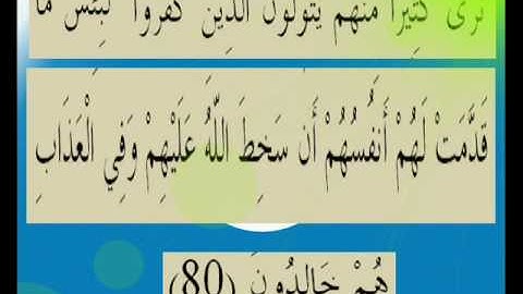 القران الكريم سورة المائدة الأية 80.wmv