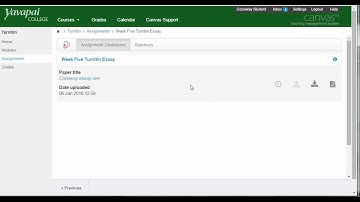 Student Submissions to Canvas and Turnitin