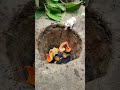 jcb gaya😱