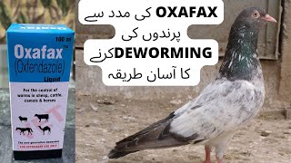 kabutar ki deworming|how to deworm pigeons naturally