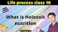 Видео по запросу "holozoic nutrition class 10"