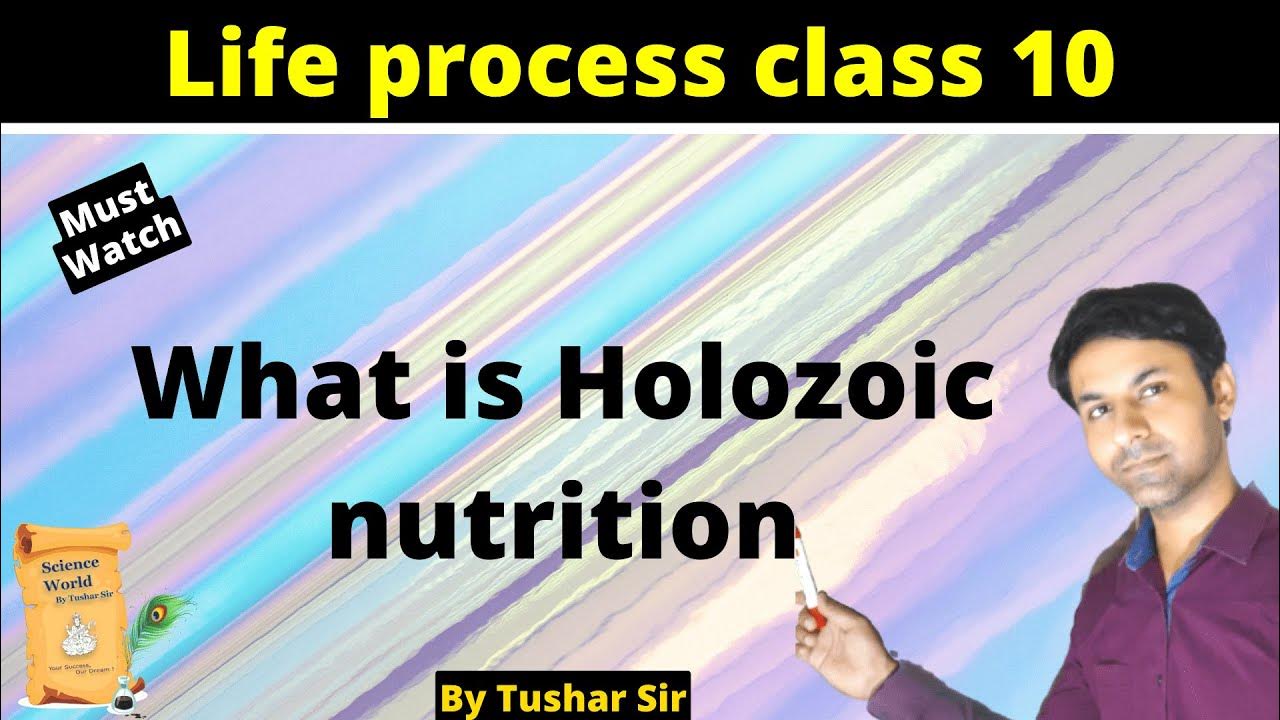what-is-holozoic-nutrition-class-10-life-processes-class-10-science