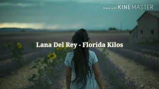 Lana Del Rey "Florida Kilos" - Español (Cover by Megan Zaportezaa)