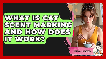 What Is Cat Scent Marking And How Does It Work? - Happy Cat Handbook