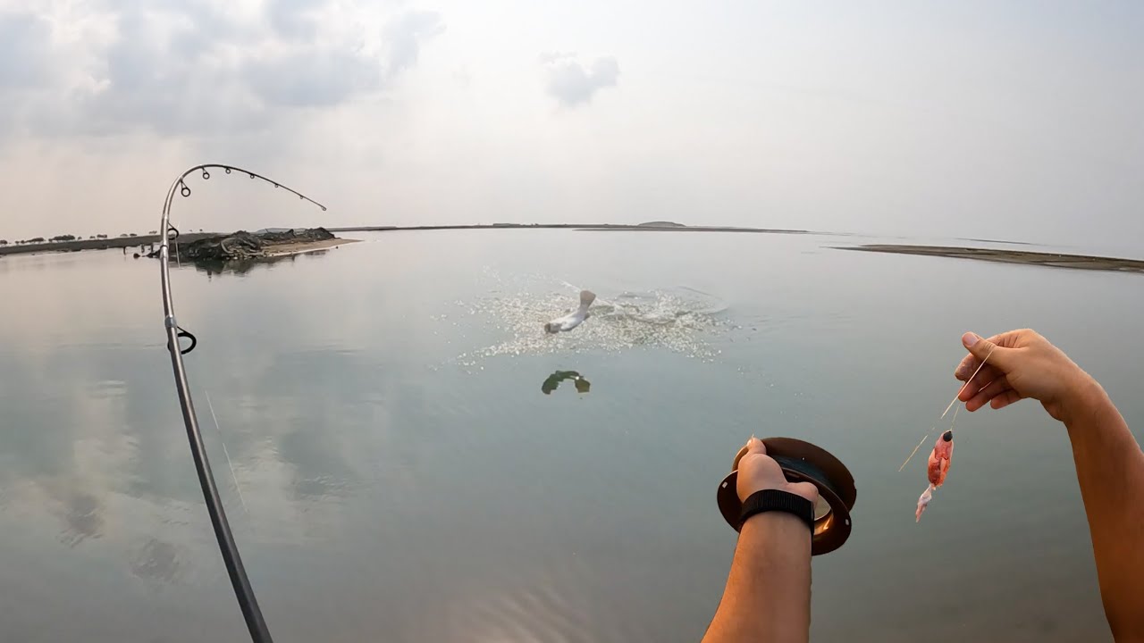 متعة صيد القاروص .. كيف اصيد بالخيط ( الجلب )