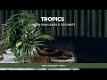 Tropic. Man’s birthday party