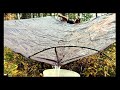 How to Catch RAINWATER with a TARP for Emergency Power Outage &amp; SHTF