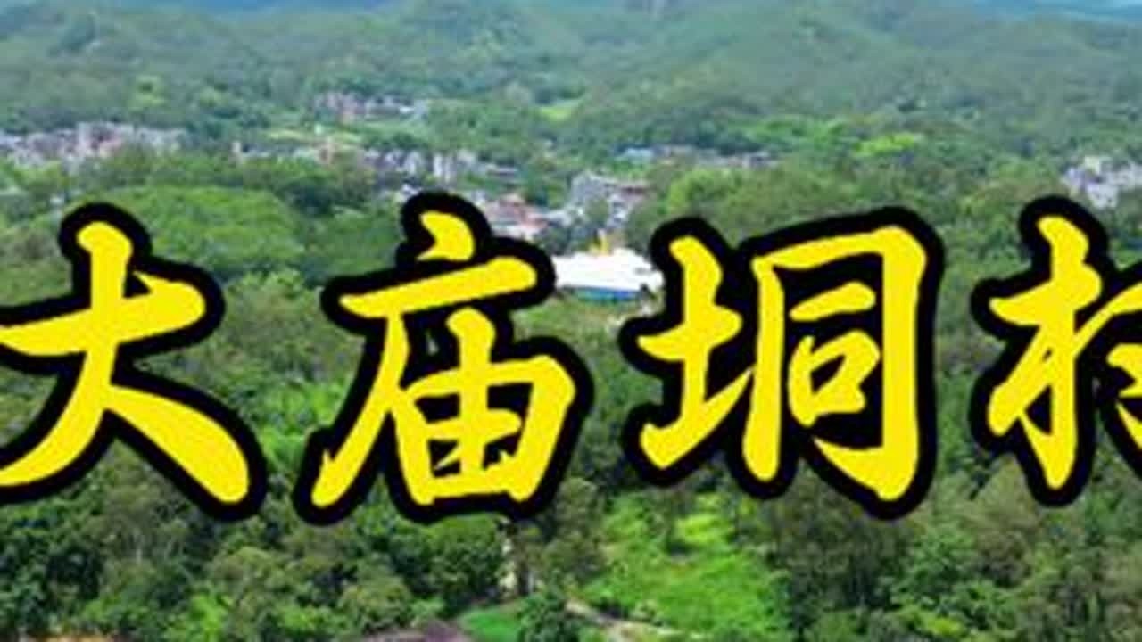 “大庙垌村”是一个信息量非常丰富的村名，结合了人文建筑和自然地理特征，生动地描绘了村庄的历史景观。“大庙垌”三字的直接含义：大：意为“巨大”，形容规模或重要性。庙：指庙宇，供奉神佛或历史人物...