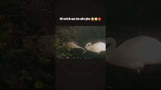🥹🥲rangdar shayari #Badmashi shayari #mix shayari#trending #viral #viralvideo #training video#