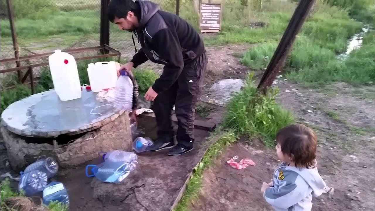 Родник череповец платные. Родник Череповец. Родник в Дубасово. Родник за кордоном в Усть Бюре. Разрисованный Родник на Алтае.