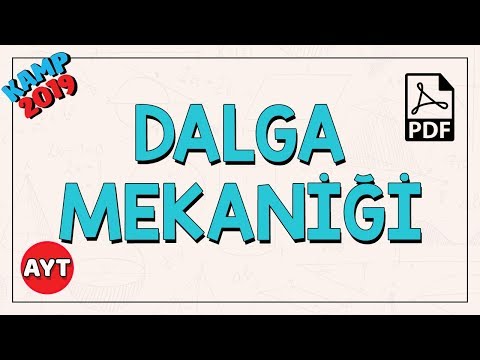 Dalga Mekaniği | AYT Fizik