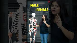 Skeleton System Of Human Body Champu Ji Vs Neeraj Mam