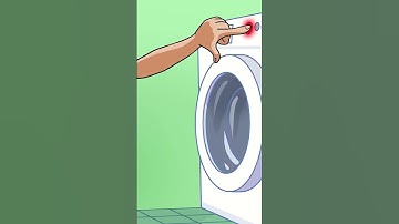 Laundry Mishap: The Tale of the Color-Changing Cat! #shorts