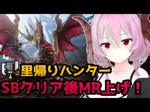 クリア後のMR上げやるよ～！【Steam版/モンハンライズ/サンブレイク】