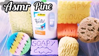 Presto Asmr Pine Soapy Sponge Squeezing Sponge Rinsing anxiety help oddly satisfying Relaxing Sound