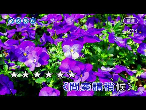 戀歌~葉啟田~男Em調~伴奏~導唱
