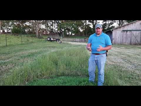 Managing a Cool Season Annual Grass - Crabgrass Rotation