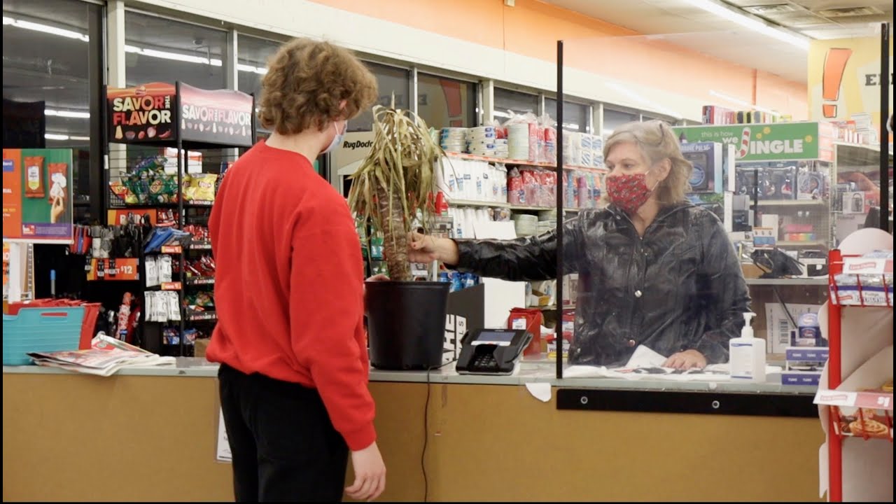 Trying to Return Dead Plants!