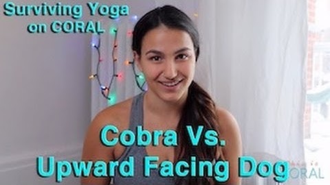 Cobra Pose vs. Upward Facing Dog