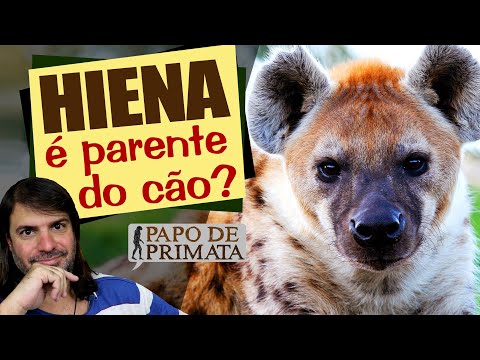 Are hyenas canids?