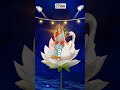 Basant Panchami Special | Happy Basant Panchami Wishes | Cellus Tech India #festivalofindia
