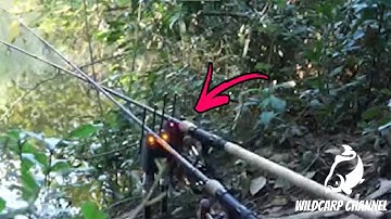 CARP RUN COMPILATION 2022! PART 2! NASH SIREN R4 / FOX Rx+ / DELKIM