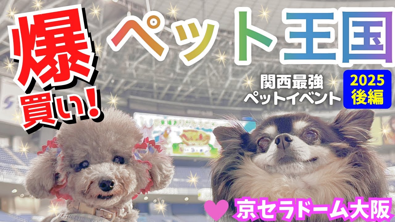 【大当たり連発】ペット王国2025で爆買い&アジリティー競技会で大爆走！🐶後編 【京セラドーム大阪】【犬イベント】