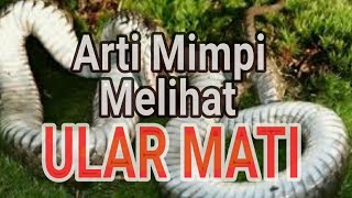 🔴Apa Arti Mimpi Melihat Ular Yang Sudah Mati?