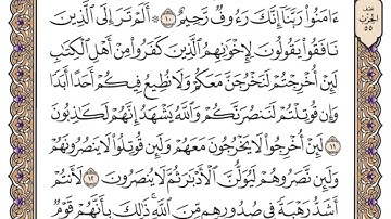 سورة الحشر مكتوبة   محمد أيوب