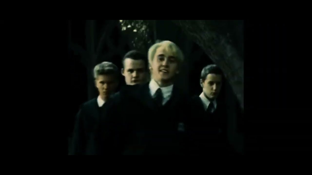 драко академия