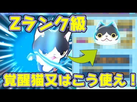 ぷにぷに 新キャラ覚醒猫又はこう使え Zランク級に使える能力 妖怪ウォッチぷにぷに シソッパ Youtube