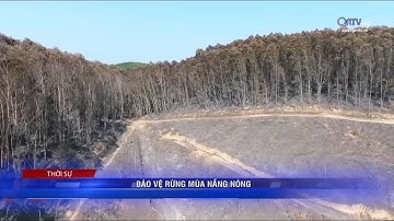 Bảo vệ rừng mùa nắng nóng | Truyền Hình Quảng Trị