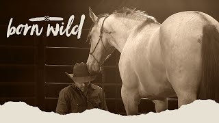 Training A Wild Horse In An Hour Born Wild 9Am Live