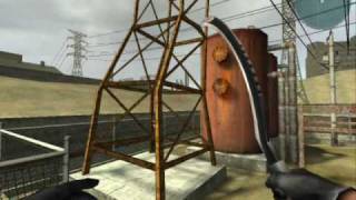 Combat Arms Bugs - Junk Flea & Short Fuse