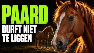 Het Paard: waarom slaapt het staande en heeft het angst om te gaan liggen? | Biomechanica & Waarheid