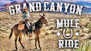 Grand Canyon Mule Ride to Phantom Ranch with Mule Wrangler 'TEX!' by Lisa P Hikes 273,302 views 2 years ago 19 minutes