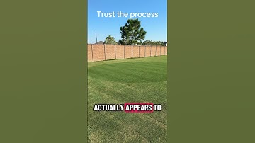 Bermuda Lawn Height of Cut Reset #lawncare #lawn #lawnmaintenance