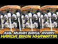 READY STOK ! TALI POCONG PUTIH, MERAK MINI, CUCAK JENGGOT, KEPODANG HITAM, DLL DIKIOS PASAR PRAMUKA