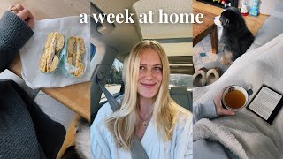 our week at home: back in MA & VT, sick days, hotels stays & more