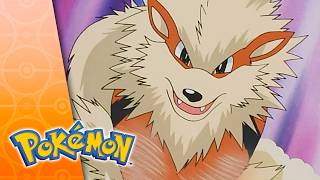 The Mighty and Powerful Arcanine | Pokémon Seasons 2, 4, 5
