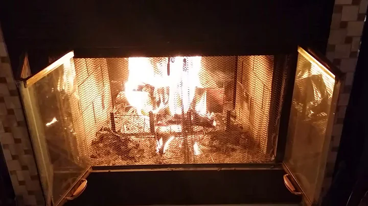 Winter in South Florida