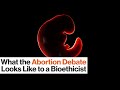 Abortion and Personhood: What the Moral Dilemma Is Really About | Glenn Cohen | Big Think