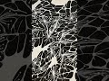 From Art to Video: The Art of Neurons
