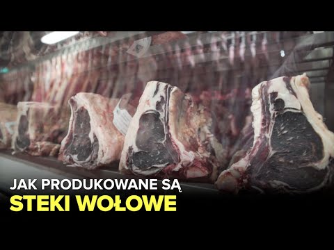 Wideo: Wołowina Hodowana W Probówkach Może Być W Sprzedaży Za Trzy Lata - Alternatywny Widok